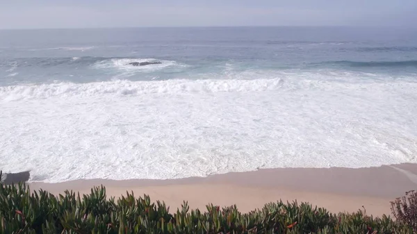 Vagues océaniques s'écrasant sur la plage, surface de l'eau de mer, Californie. Plantes succulentes. — Photo