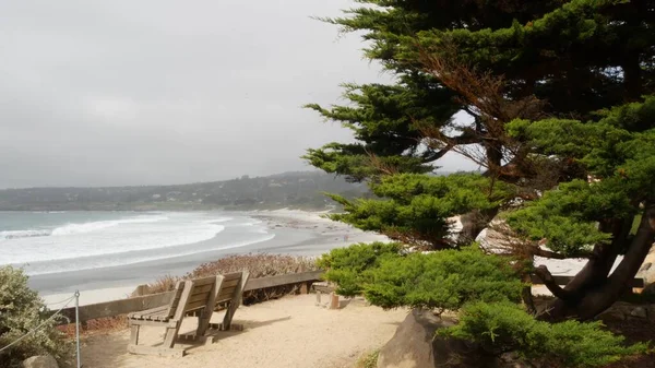 Pusta drewniana ławka, odpoczynek na szlaku pieszym. Ocean Beach, wybrzeże Kalifornii, drzewa — Zdjęcie stockowe
