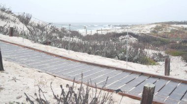 Okyanus kumlu kum tepeleri, Kaliforniya 'nın sisli kıyıları. Sisli yağmurlu hava, soğuk deniz.