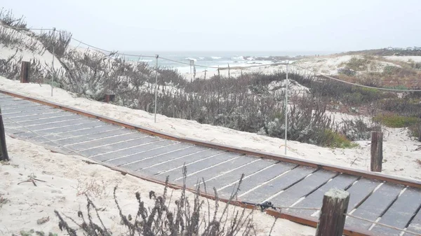 Okyanus kumlu kum tepeleri, Kaliforniya 'nın sisli kıyıları. Sisli yağmurlu hava, soğuk deniz.