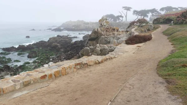 Plage de l'océan Rocheux, vagues de mer par temps brumeux brumeux, Monterey, côte californienne. — Photo