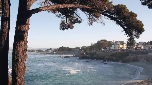 Rocky okyanus plajı, deniz dalgaları ve selvi çam ağacı, Monterey, Kaliforniya kıyısı..