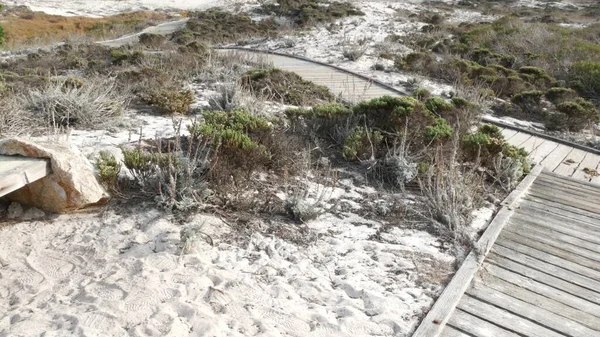 Wooden boardwalk trail, sand dune, California coast. Footpath walkway or footway