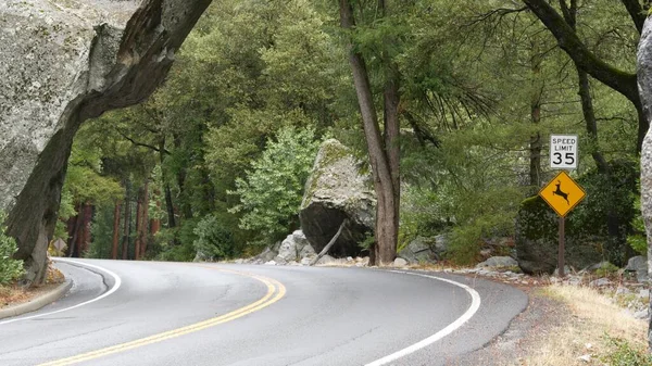 Signo amarillo ciervos cruzando en el bosque. Viaje por carretera, Yosemite, California fauna. —  Fotos de Stock