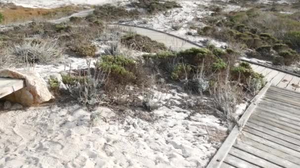 Houten promenade, zandduin, Californische kust. Looppad loopbrug of voetpad — Stockvideo