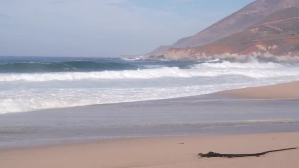 Nagy Csendes-óceáni hullámok összeomlik, üres strand Kalifornia partján, tenger és hegy — Stock videók