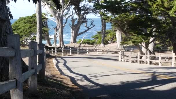 Route panoramique de 27 km, Monterey, Californie. Cyprès ou pins et océan — Video