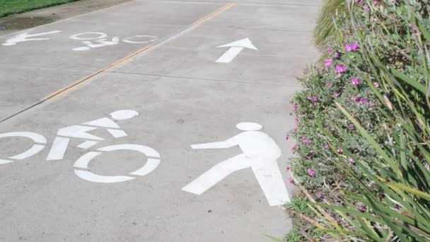 Fiets- of fietspad, fietsveiligheid in de VS. Lijnmarkering op asfalt, fietser. — Stockvideo