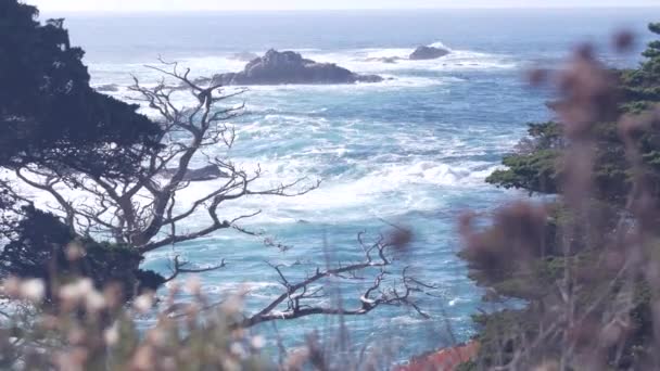 Rotsachtige klif, oceaanstrand, Point Lobos, Californische kust. Golven storten neer. — Stockvideo