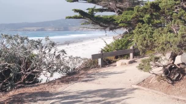 Ścieżka, szlak lub ścieżka, plaża oceaniczna, wybrzeże Kalifornii. Cyprys sosnowy. — Wideo stockowe