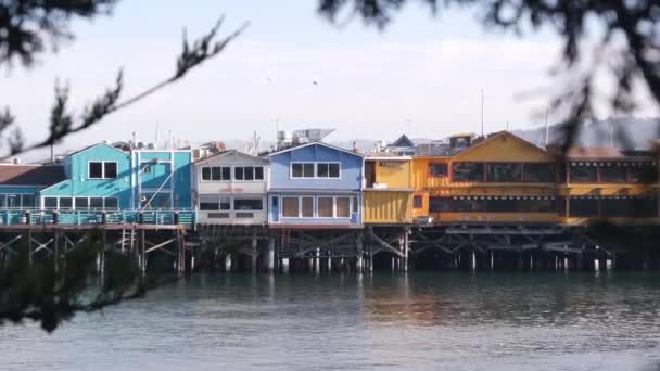 Casas de madera coloridas sobre pilotes o pilares, Old Fishermans Wharf, Bahía de Monterey. — Vídeo de stock