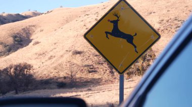 Geyik sarı yol işareti, California USA. Vahşi hayvan çarpması, trafik güvenliği