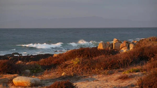 Rotsachtige oceaan kust, dramatische zee golven, Monterey strand, Californië, vogels vliegen. — Stockfoto