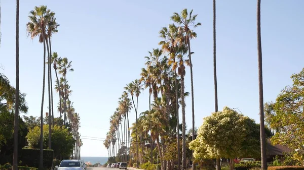 Fila de palmeiras, cidade perto de Los Angeles, costa da Califórnia. Palmeiras por praia. — Fotografia de Stock