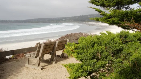 Порожня дерев'яна лавка, спочинок на стежці. Океанський пляж, узбережжя Каліфорнії, дерева — стокове фото