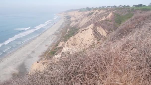 Крутой скальный утёс или блеф, эрозия побережья Калифорнии. Вид на сосны Торри — стоковое видео