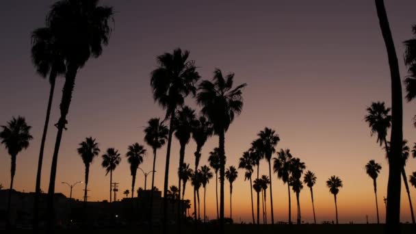 รูปปั้นต้นปาล์มและผู้คนเดินบนชายหาดตอนพระอาทิตย์ตก ชายฝั่งแคลิฟอร์เนีย สหรัฐอเมริกา — วีดีโอสต็อก