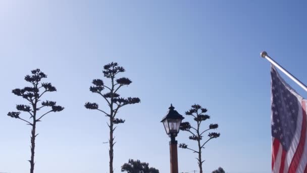 Agave cactus bloem, wilde west lantaarn en Amerikaanse vlag, West-Californië Verenigde Staten — Stockvideo