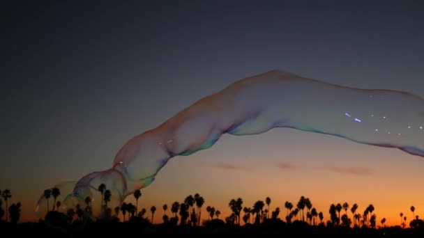 Pohon palem siluet, matahari terbenam pantai laut, gelembung sabun, California pantai, Amerika Serikat. — Stok Video