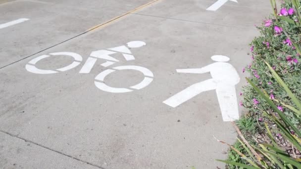 Bisiklet ya da bisiklet yolu, ABD 'de bisiklet güvenliği. Asfaltta çizgi işareti, bisikletçi. — Stok video