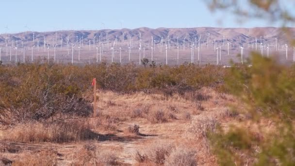Szélmalmok a szélerőműben, szélmalom energiatermelők. Sivatagi szélerőmű, USA. — Stock videók