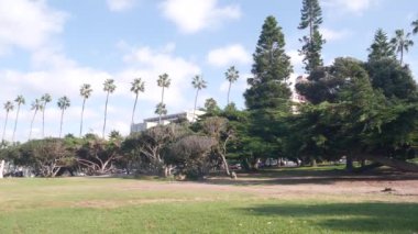 Palmiye ağaçları sırası, Rocky Point Parkı La Jolla, California sahilinde, ABD. Mavi gökyüzü