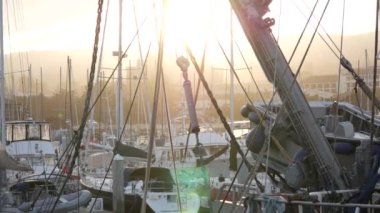 Marinada balıkçı tekneleri, balıkçılık endüstrisi, rıhtım iskelesi, ABD 'de balıkçılık..
