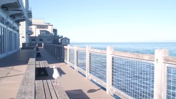 Paseo marítimo, Monterey California. Acuario frente al mar en Cannery Row. — Vídeo de stock
