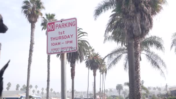 Δεν υπάρχουν πινακίδες στάθμευσης, σκούπισμα δρόμου, πόλη κοντά στο Λος Άντζελες, Καλιφόρνια. Παλάμες. — Αρχείο Βίντεο