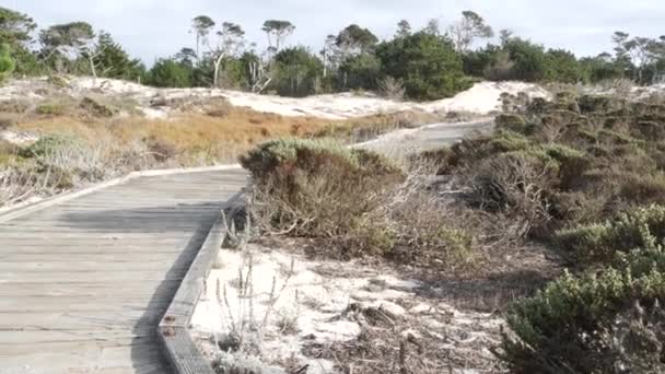 Tahta sahil yolu, kum tepesi, Kaliforniya kıyısı. Yaya yolu ya da yaya yolu — Stok video