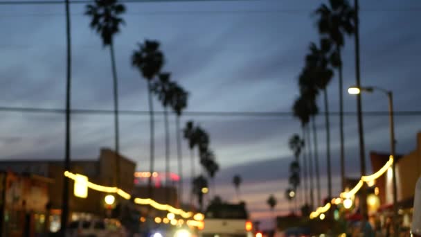 Palm trees in Ocean Beach, lights in twilight, California coast, San Diego, USA. — Stock Video