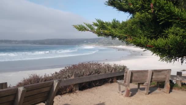 Пустая деревянная скамейка, отдых на тропинке. Океанский пляж, побережье Калифорнии, деревья — стоковое видео
