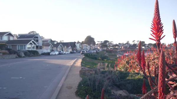 Monterey Pacific Grove, побережье Калифорнии, парадный дом, цветение алоэ красное — стоковое фото