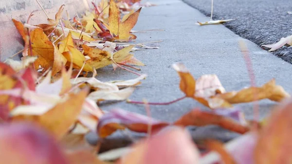 Arce amarillo seco otoño caído hojas en el suelo de la calle de la ciudad americana por bordillo. — Foto de Stock