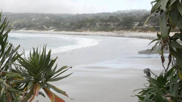 Praia de areia oceânica, costa da Califórnia, ondas de água do mar a cair. Clima nebuloso. — Fotografia de Stock