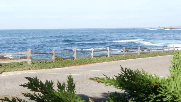 17 mil manzara yolu, Monterey, California, okyanus dalgaları. Sulu bitkiler.. — Stok fotoğraf