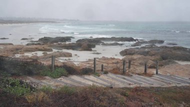 Okyanus kumlu kum tepeleri, Kaliforniya 'nın sisli kıyıları. Sisli yağmurlu hava, soğuk deniz.