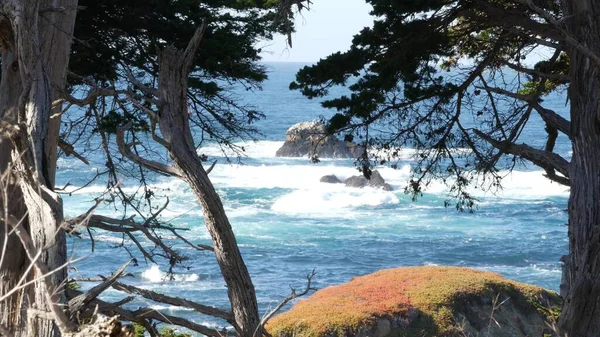 Vagues océaniques, forêt de pins cyprès, route de 27 miles, Monterey, côte californienne — Photo