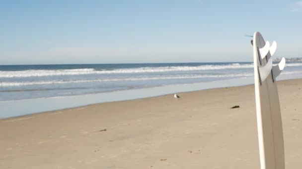 Surfplank voor surfen staande op strand zand, Californië kust, Verenigde Staten. Zeegolven — Stockvideo