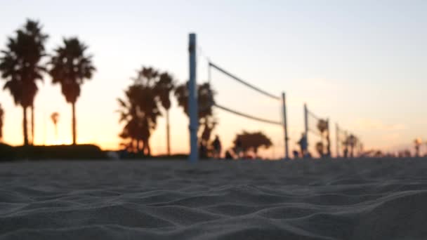 在海滩球场打排球的选手，用球和网打排球的人. — 图库视频影像