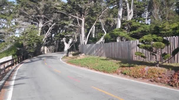 Passeio panorâmico de 17 milhas, Monterey, Califórnia. Viagem de carro através da floresta cipreste árvore. — Vídeo de Stock