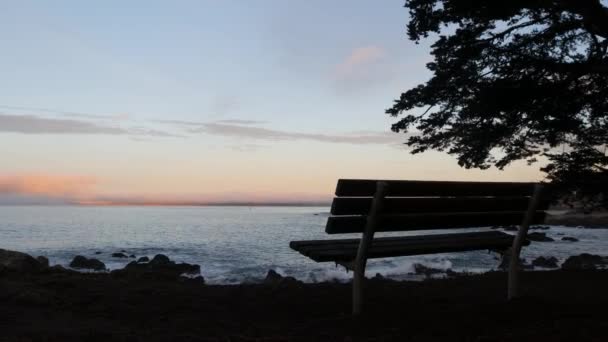 Ocean beach and sea waves, California coast. Beachfront waterfront empty bench. — Stock Video