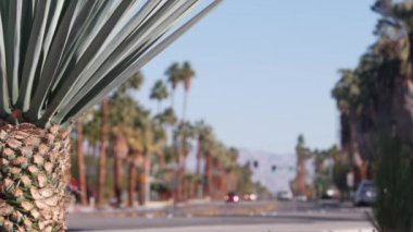 Palmiye ağaçları, Palm Springs caddesi, yol trafiği, Kaliforniya ABD. Araba sürüyor.