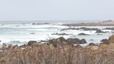 Kayalık okyanus kıyıları, kayalara vuran deniz dalgaları, Monterey California