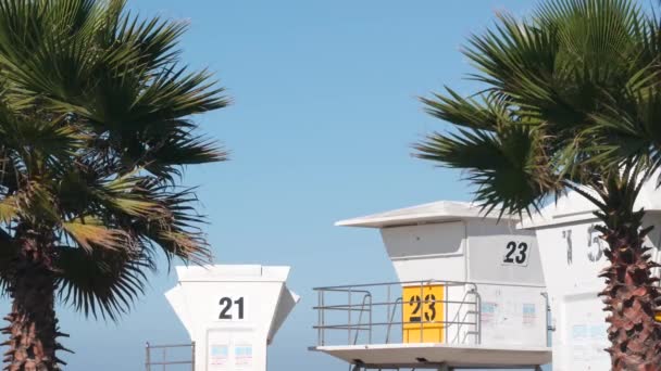 Soporte de salvavidas y palmera, torre de salvavidas para surfear en la playa de California. — Vídeos de Stock