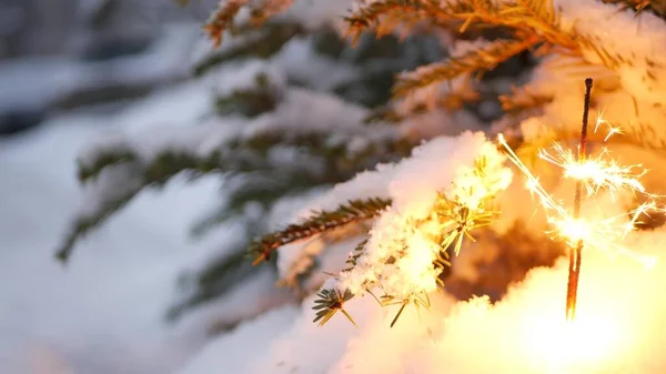 Árbol de Navidad en la nieve, fuegos artificiales chispeantes quema, Año Nuevo o Navidad bengala luz —  Fotos de Stock