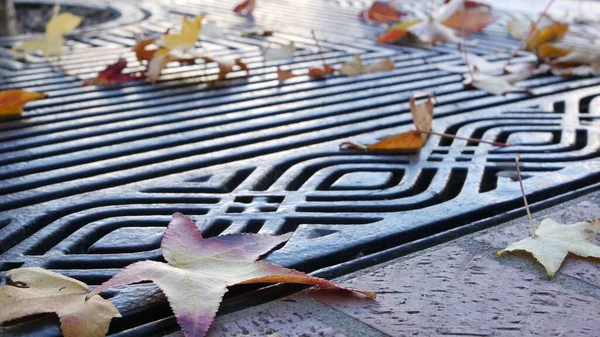 Seco amarillo otoño hojas de arce caído, rejilla de metal en el suelo de la calle americana. — Foto de Stock