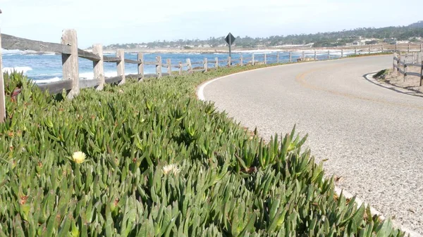17 μίλια οδήγησης γραφικό δρόμο, Monterey, Καλιφόρνια, κύματα του ωκεανού. Παχύρρευστα φυτά. — Φωτογραφία Αρχείου