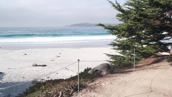Calea, traseul sau poteca, plaja oceanului, coasta Californiei. Chiparos de pin pe malul mării. — Fotografie, imagine de stoc
