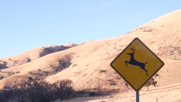 Jeleń przechodzący przez żółty znak drogowy, Kalifornia, USA. Boks zwierząt dzikich, bezpieczeństwo ruchu — Wideo stockowe